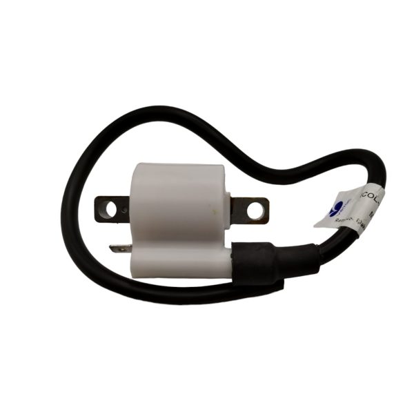 BOBINA ALTA BUJIA PRINCIPAL PULSAR 200 NS (CARBURADA)  MARCA:  VARROC  REF: K353189200