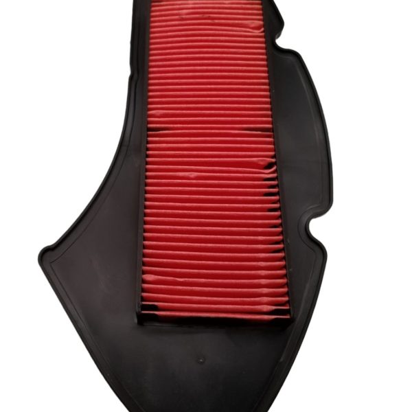 FILTRO AIRE N MAX               MARCA:  DARROW                       REF:  22FP021